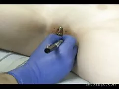 پستان, جوجه, ساک سکس ...