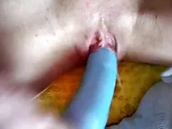 سگ ماده بزرگ با انگش ...