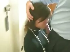 گربه, دانلود رایگان  ...